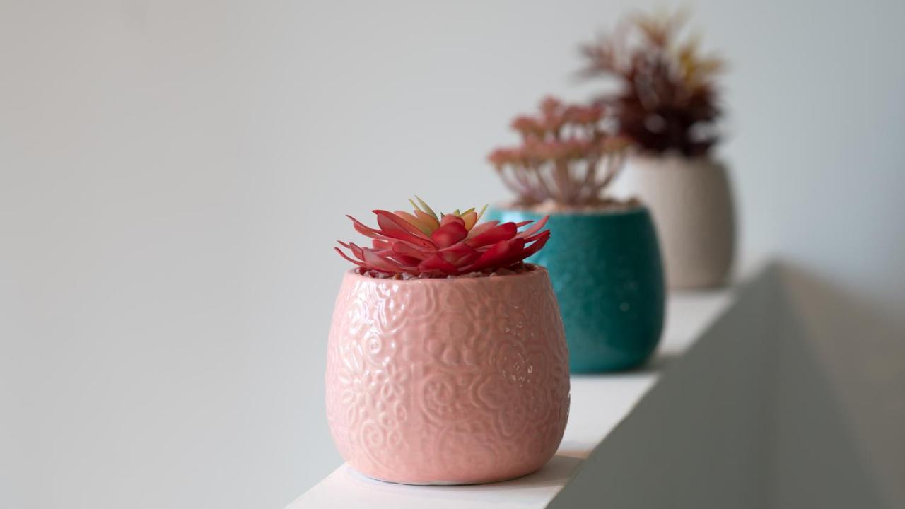 La Capeyronnaise - Maison Cosy - Jardin Mérignac Eksteriør bilde
